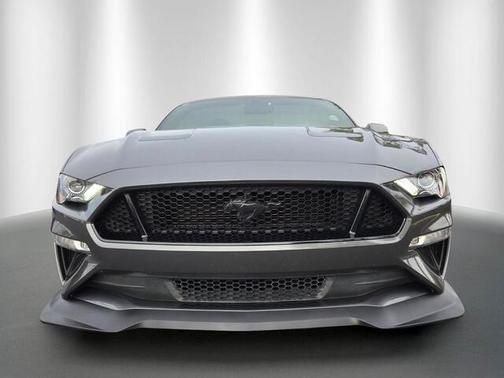 Magnetic 2019 Ford Mustang GT Premium