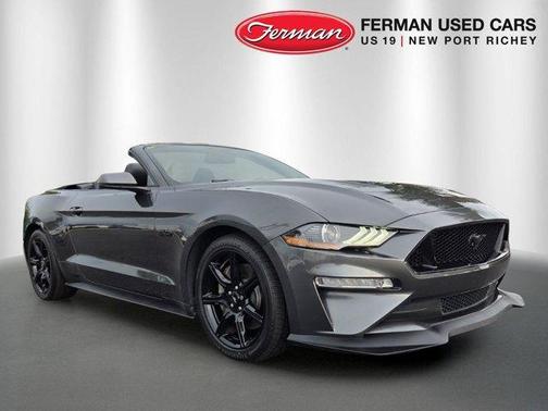 Magnetic 2019 Ford Mustang GT Premium