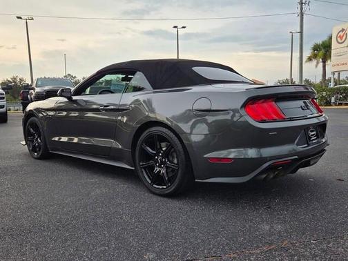 Magnetic 2019 Ford Mustang GT Premium