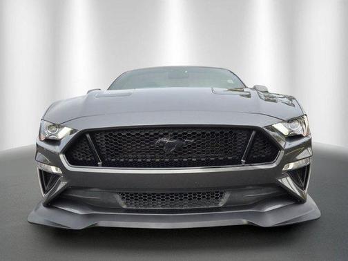 Magnetic 2019 Ford Mustang GT Premium