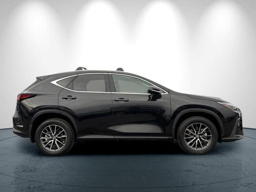 2025 Lexus NX 250 Premium