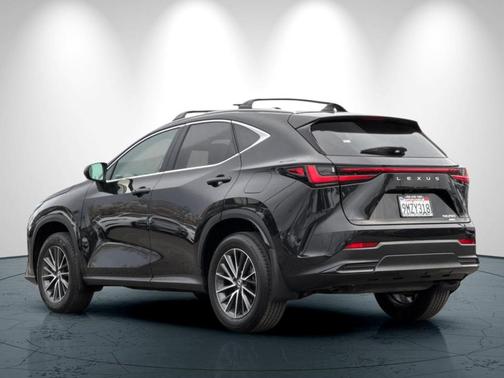 2025 Lexus NX 250 Premium
