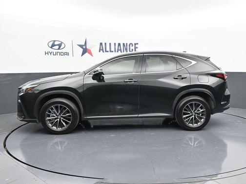2025 Lexus NX 250 Premium