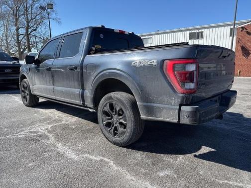 2022 Ford F-150 PLATINUM