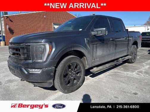 2022 Ford F-150 PLATINUM
