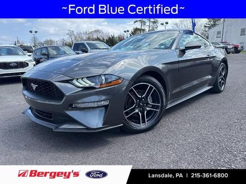 MAGNETIC METALLIC 2019 Ford Mustang ECOBOOST