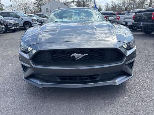 MAGNETIC METALLIC 2019 Ford Mustang ECOBOOST