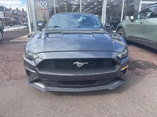MAGNETIC METALLIC 2019 Ford Mustang ECOBOOST