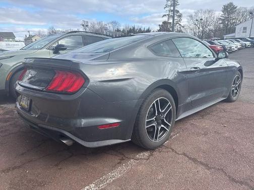 MAGNETIC METALLIC 2019 Ford Mustang ECOBOOST