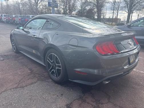 MAGNETIC METALLIC 2019 Ford Mustang ECOBOOST