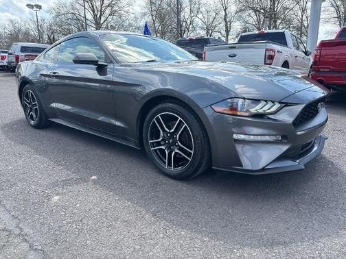 MAGNETIC METALLIC 2019 Ford Mustang ECOBOOST