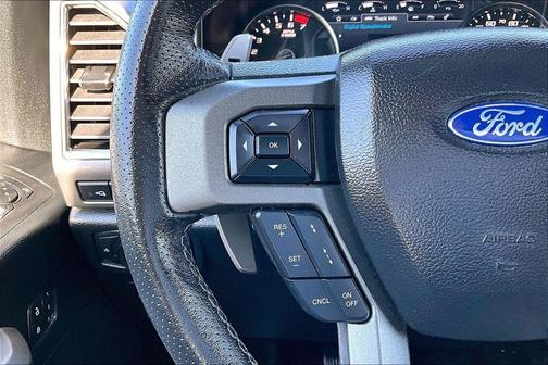 Agate Black Metallic 2019 Ford F-150 Raptor