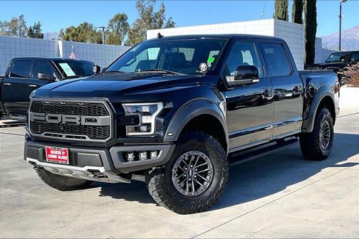 Agate Black Metallic 2019 Ford F-150 Raptor