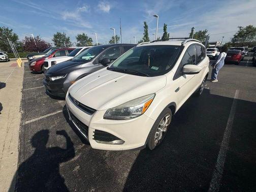 White Platinum 2014 Ford Escape Titanium