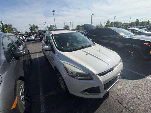 White Platinum 2014 Ford Escape Titanium