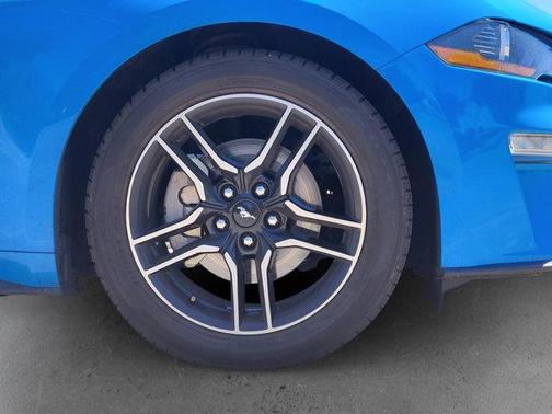 Grabber Blue 2023 Ford Mustang EcoBoost
