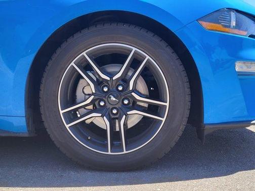 Grabber Blue 2023 Ford Mustang EcoBoost