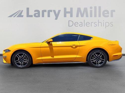 2019 Ford Mustang EcoBoost