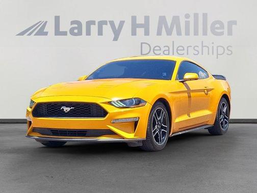 2019 Ford Mustang EcoBoost