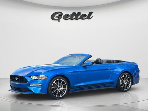 Blue Metallic 2019 Ford Mustang EcoBoost Premium