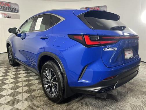 2025 Lexus NX 250 Base