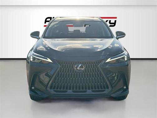 2025 Lexus NX 250 Premium