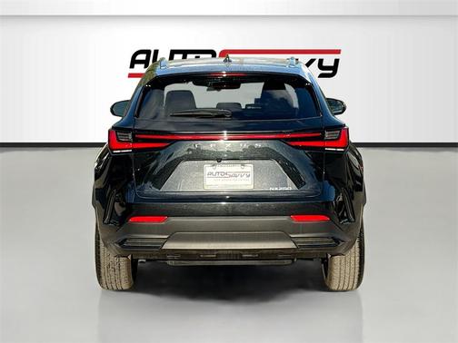 2025 Lexus NX 250 Premium