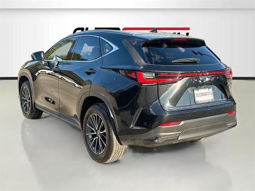 2025 Lexus NX 250 Premium