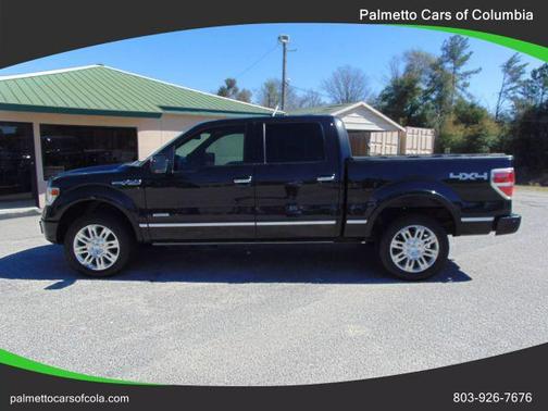 2013 Ford F-150 Platinum