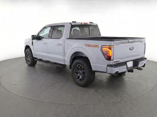 Avalanche 2024 Ford F-150 Tremor
