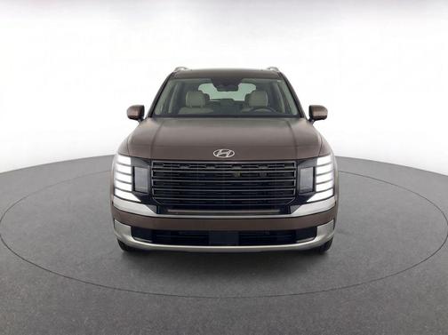 Earthy Brass Matte 2026 Hyundai PALISADE Calligraphy