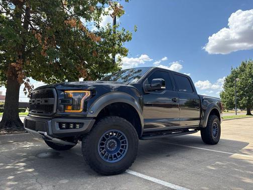 Agate Black Metallic 2019 Ford F-150 Raptor