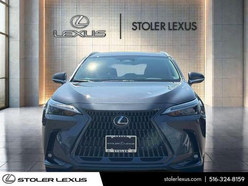 Cloudburst Gray 2025 Lexus NX 350 Premium