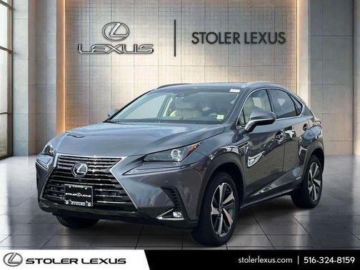Gray Pearl 2019 Lexus NX 300h Base