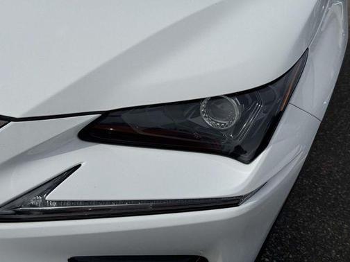 2019 Lexus NX 300 F Sport