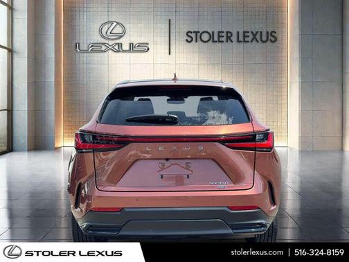 Copper 2025 Lexus NX 350 Premium