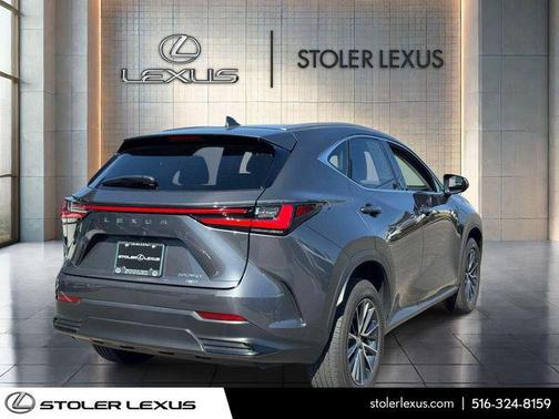 Cloudburst Gray 2023 Lexus NX 350 Premium