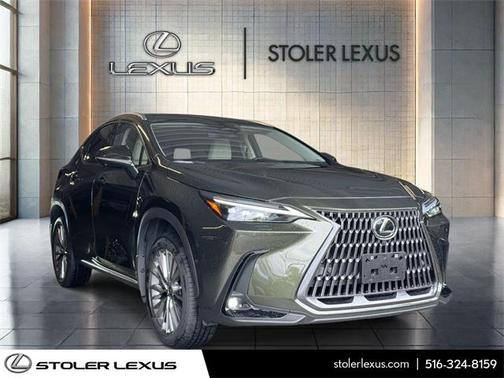 2025 Lexus NX 350 Luxury