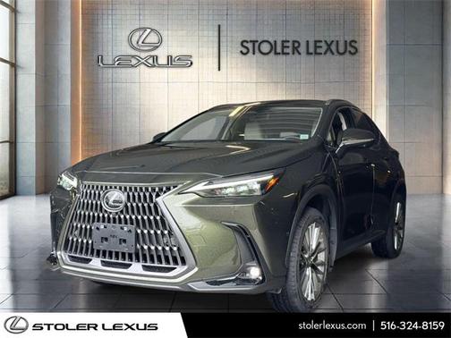 2025 Lexus NX 350 Luxury