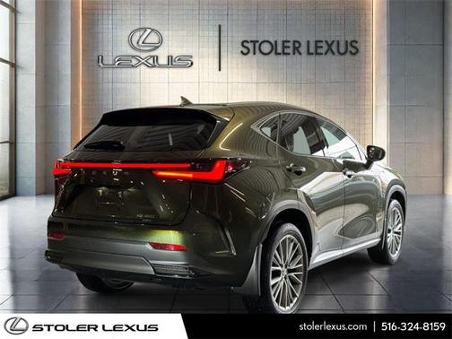 2025 Lexus NX 350 Luxury