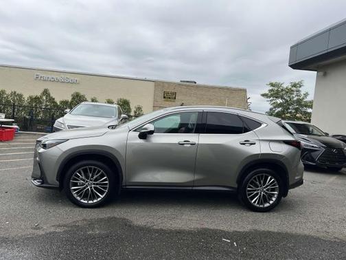 2024 Lexus NX 350 Luxury