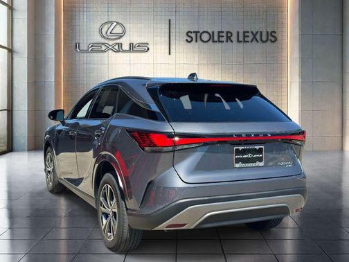Nebula Gray Pearl 2023 Lexus RX 350 Premium
