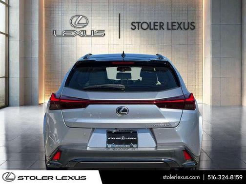 Iridium with Obsidian Roof 2024 Lexus UX 250h F Sport