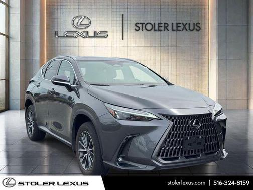 Cloudburst Gray 2024 Lexus NX 350 Premium
