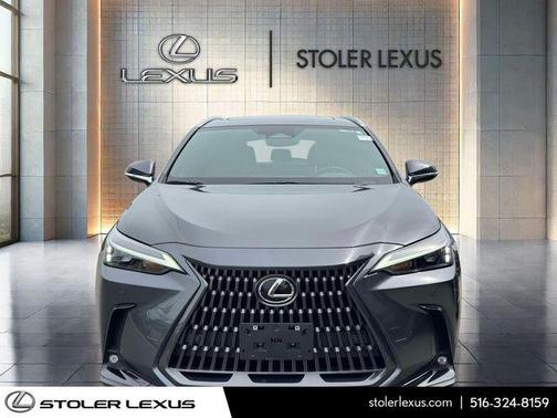 Cloudburst Gray 2024 Lexus NX 350 Premium