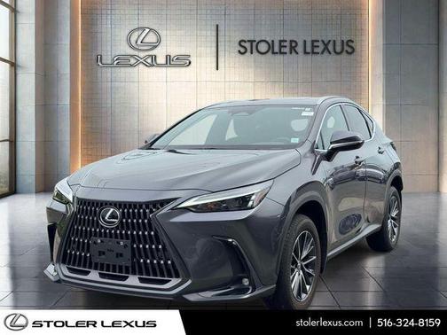 Cloudburst Gray 2024 Lexus NX 350 Premium