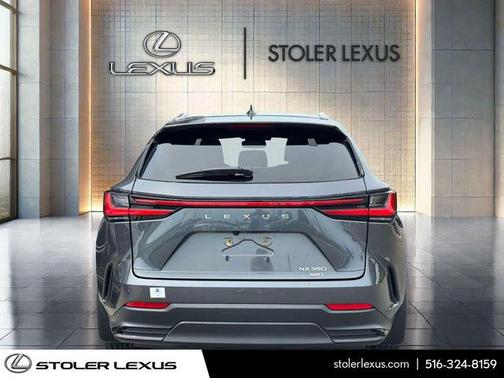 Cloudburst Gray 2024 Lexus NX 350 Premium