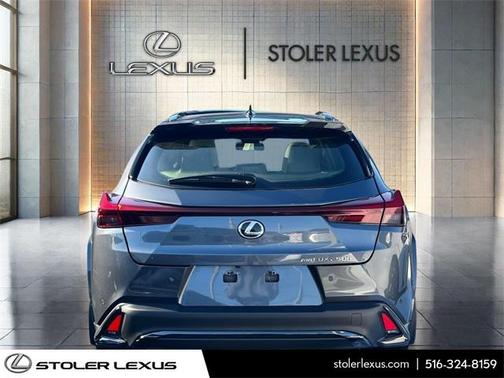 2024 Lexus UX 250h F Sport