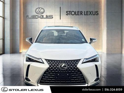 2025 Lexus UX 300h Premium