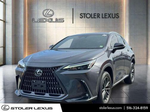 Cloudburst Gray 2023 Lexus NX 350 Premium